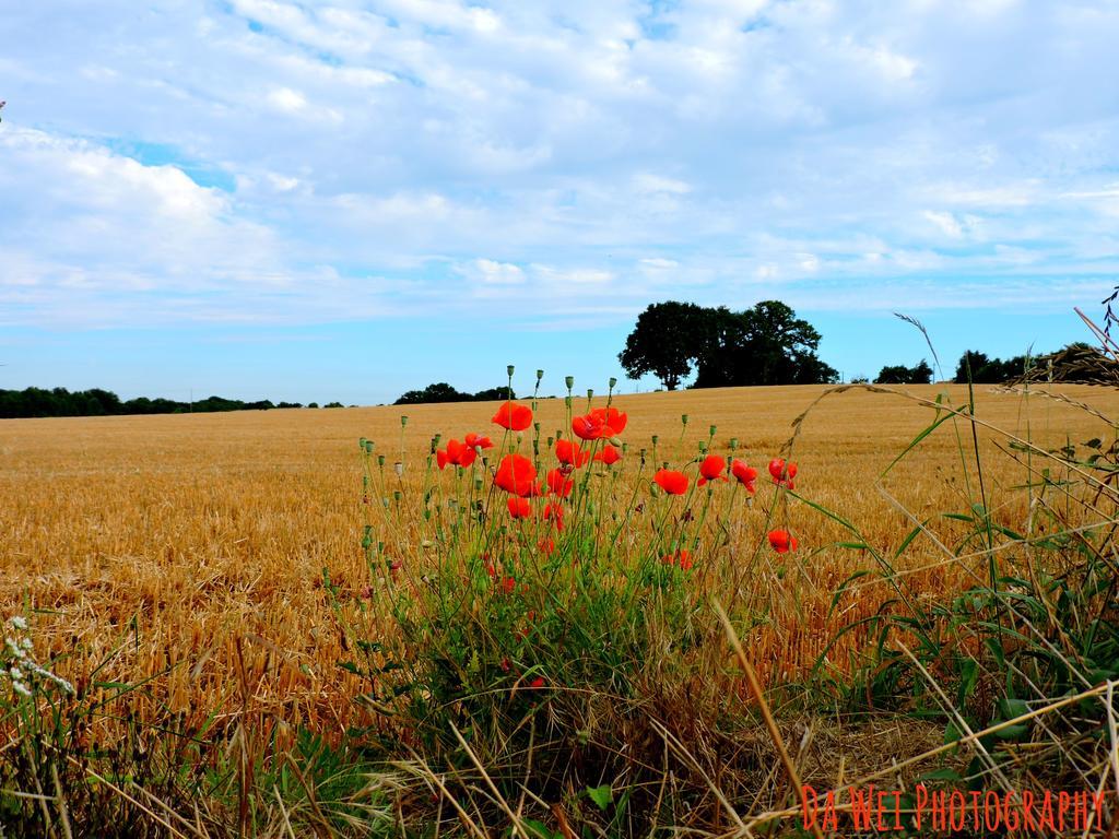 Gite Dans Les Alpes Mancelles Gesnes-le-Gandelin エクステリア 写真