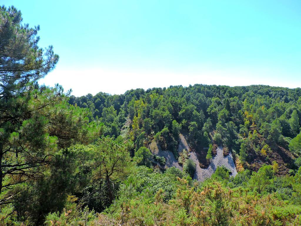 ホテル Gite Dans Les Alpes Mancelles Gesnes-le-Gandelin エクステリア 写真